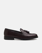 Andrew Zapato Hombre